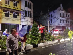 Pohon Tumbang Menimpa Mobil, Polsek Simokerto Berhasil Selamatkan Pengemudinya