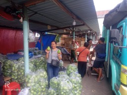 Jenis Sayuran Labu Manisa Dari Singaraja Bali Kini Hadir di Lapak Sayur Pandegiling Surabaya