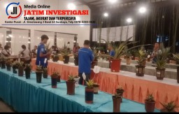 Membanggakan Eksotik Sansevera Sampang Mewakili Madura Mendapatkan Juara 3 di Kontes Sansevieria Nasional Sidoarjo 2024