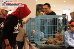 Sekda Kabupaten Sidoarjo Minta Pameran Hewan Kesayangan Tumbuhkan Ekonomi Kreatif dan Tekan TPT
