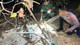 Misteri Penemuan 2 Tengkorak Manusia di Tepi Pantai Sepulu, Polres Bangkalan Masih Tunggu Hasil Proses Identifikasi Forensik
