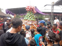 Dusun Petal Telah Menggelar Acara Sedekah Bumi di Balai Dusun Petal Kelurahan Domas