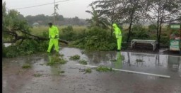 Gerak Cepat Anggota Polsek Rejoso dan Tim Operasi Zebra Semeru 2024 Polres Nganjuk Bersihkan Pohon Tumbang