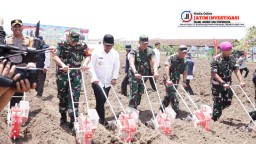 Dukung Swasembada Pangan, Kapolri Bersama Panglima TNI Tanam Jagung di Sidoarjo,Tandai Peluncuran Gugus Tugas Polri Ketahanan Pangan