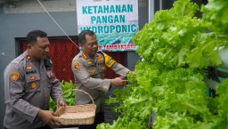 Surprise..!! Bisa Panen Sayur Hidroponik di Polsek Tambaksari,Begini Reaksi Kapolrestabes Surabaya