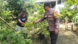 Bhabinkamtibmas Desa Ungasan Dukung Ketahanan Pangan di Kuta Selatan