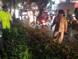 Bhabinkamtibmas Kelurahan Sempidi Evakuasi Pohon Tumbang