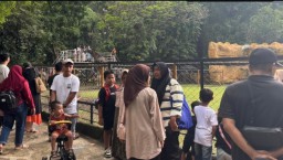 Kebun Binatang Telah di Padati Pengunjung Saat Hari Imlek, Menampilkan Barongsai dan Bagi - Bagi Hadiah