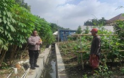 Bhabinkamtibmas Kelurahan Rungkut Kidul Pantau Kebun Ketahanan Pangan