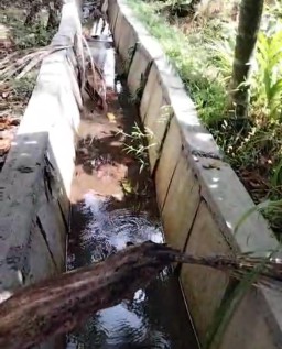 APH Segera Lakukan Penyelidikan, Warga Protes Proyek P3A Desa Pangkalan Buton di Kerjakan Asal -Asalan