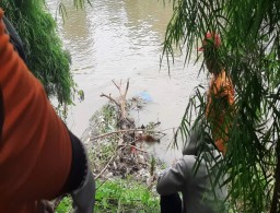 Geger Penemuan Mayat Prempuan di Sungai Jagir Wonokromo