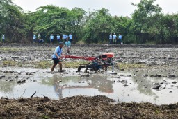 Lanud Muljono Kelola Lahan Ketahanan Pangan, Dukung Program Asta Cita Presiden RI