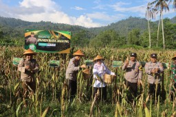 Polres Pacitan Bersama Warga Tani Panen Jagung Wujudkan Ketahanan Pangan Nasional