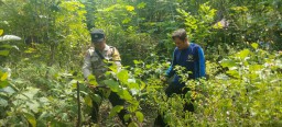 Polsek Nganjuk Kota Dukung Ketahanan Pangan Lewat Pemanfaatan Lahan Perkarangan