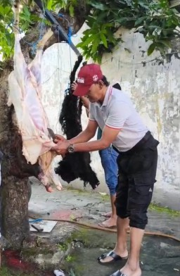Gabungan 9 Media Online Gelar Kurban 3 Ekor Kambing"