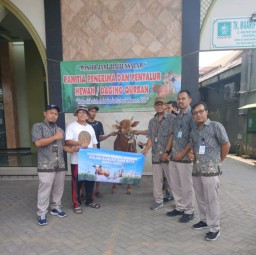 Perumda Air Minum Surya Sembada Salurkan 14 Sapi Kurban pada Idul Adha 1446 H, Wujud Kepedulian dan Komitmen Layanan untuk Kota Surabaya