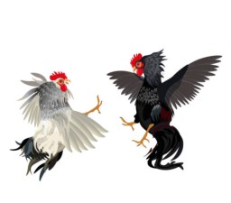 Mampukah Kapolres Lumajang Tutup Perjudian Sabung Ayam dan Dadu di Desa Selok Pasirian