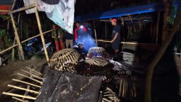Respon Cepat Pengaduan Masyarakat Polres Lumajang Langsung Bongkar 2 Tempat Arena Sabung Ayam di Lumajang