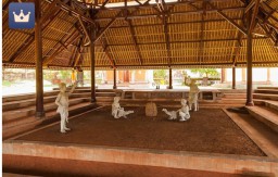 Sempat Ditutup, Kini Gelanggang Sabung Ayam Desa Lempeni dan Besuk Lumajang Kembali Beroperasi