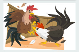 Perjudian Sabung Ayam di Cangar Bulukerto Batu Malang Hampir Setiap Hari Ramai 