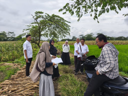 Perkuat Kepastian Hukum Aset Negara, PLN UIP JBTB Terima Sertipikat HGB Jalur SUTET 500 kV Ungaran–Pedan di Kab. Klaten