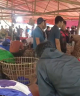Diduga ada Becking Aparat Aktivitas Perjudian Sambung Ayam di Sumenep Seolah Kebal Hukum