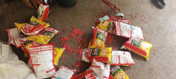 Warga Desa Pene Selatan Kembalikan Benih Jagung Diduga Kadaluarsa, Jenis Tidak Sesuai RAB