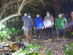 Mayat Pria Tanpa Identitas Ditemukan di Pesisir Pantai Sepanjang Sapeken