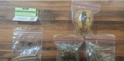Pengedar Ganja Surabaya Diamankan, Satresnarkoba Polrestabes Surabaya Temukan Paket Siap Edar di Dua Lokasi