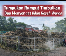 Revitalisasi Lapangan Wonocolo Dikeluhkan, Tumpukan Rumput Membusuk di Depan SDN Wonocolo 1 Picu Bau Menyengat
