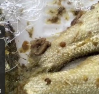 Menu MBG di SDN Rongtengah 2 Sampang Diduga Tak Layak Konsumsi, Pengawasan Diminta Diperketat