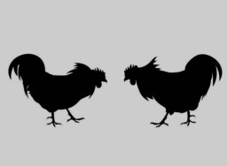 Praktik Sabung Ayam di Dusun Karang Anyar Lumajang Disorot, Diduga Dikelola Bernama Suari