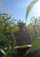 Bhabinkamtibmas Bangkingan Dampingi Pengecekan Lahan Jagung, Wujud Dukungan Polri untuk Swasembada Pangan
