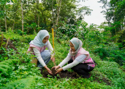 Srikandi PLN Icon Plus Jatim Peduli Lingkungan, Tanam 200 Bibit Pohon di Kaki Gunung Arjuno-Welirang