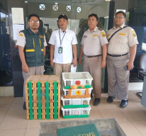 Disembunyikan di Truk dari Balikpapan, 69 Burung Tanpa Dokumen Diamankan Karantina Jatim