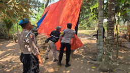 Dugaan Sabung Ayam di Karang Duren Jember, Saat Dicek Tak Ada Aktivitas