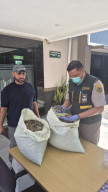 Penutup Cangkang Siput Laut Milik UMKM di Malang Tembus Pasar Arab Saudi