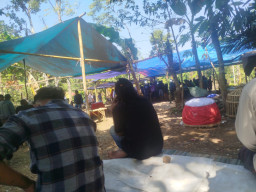 Aktivitas Sabung Ayam Diduga Berlangsung di Jelbuk, Masyarakat Soroti Kinerja APH