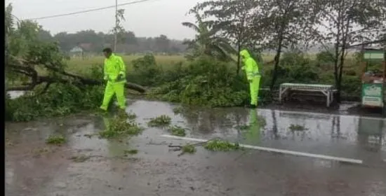Gerak Cepat Anggota Polsek Rejoso dan Tim Operasi Zebra Semeru 2024 Polres Nganjuk Bersihkan Pohon Tumbang