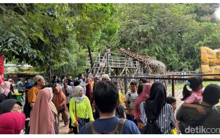Kebun Binatang Surabaya Menjelang Tahun Baru Telah di Padati 19 Ribu Pengunjung