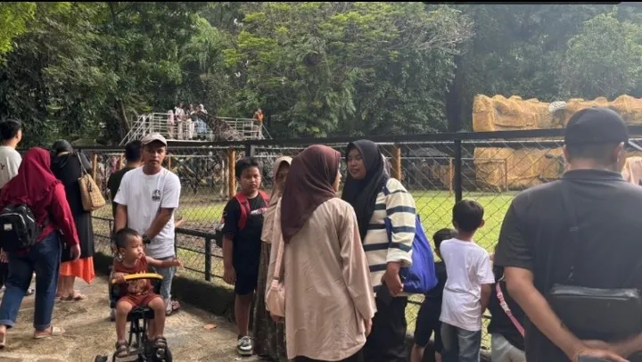 Kebun Binatang Telah di Padati Pengunjung Saat Hari Imlek, Menampilkan Barongsai dan Bagi - Bagi Hadiah