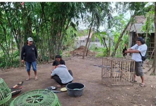 Polres Nganjuk Gerebek Lokasi Sabung Ayam di Baron