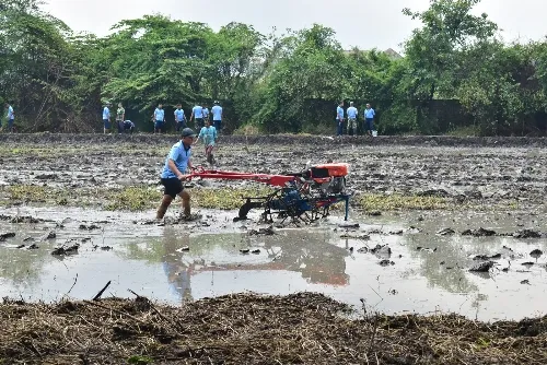 Lanud Muljono Kelola Lahan Ketahanan Pangan, Dukung Program Asta Cita Presiden RI