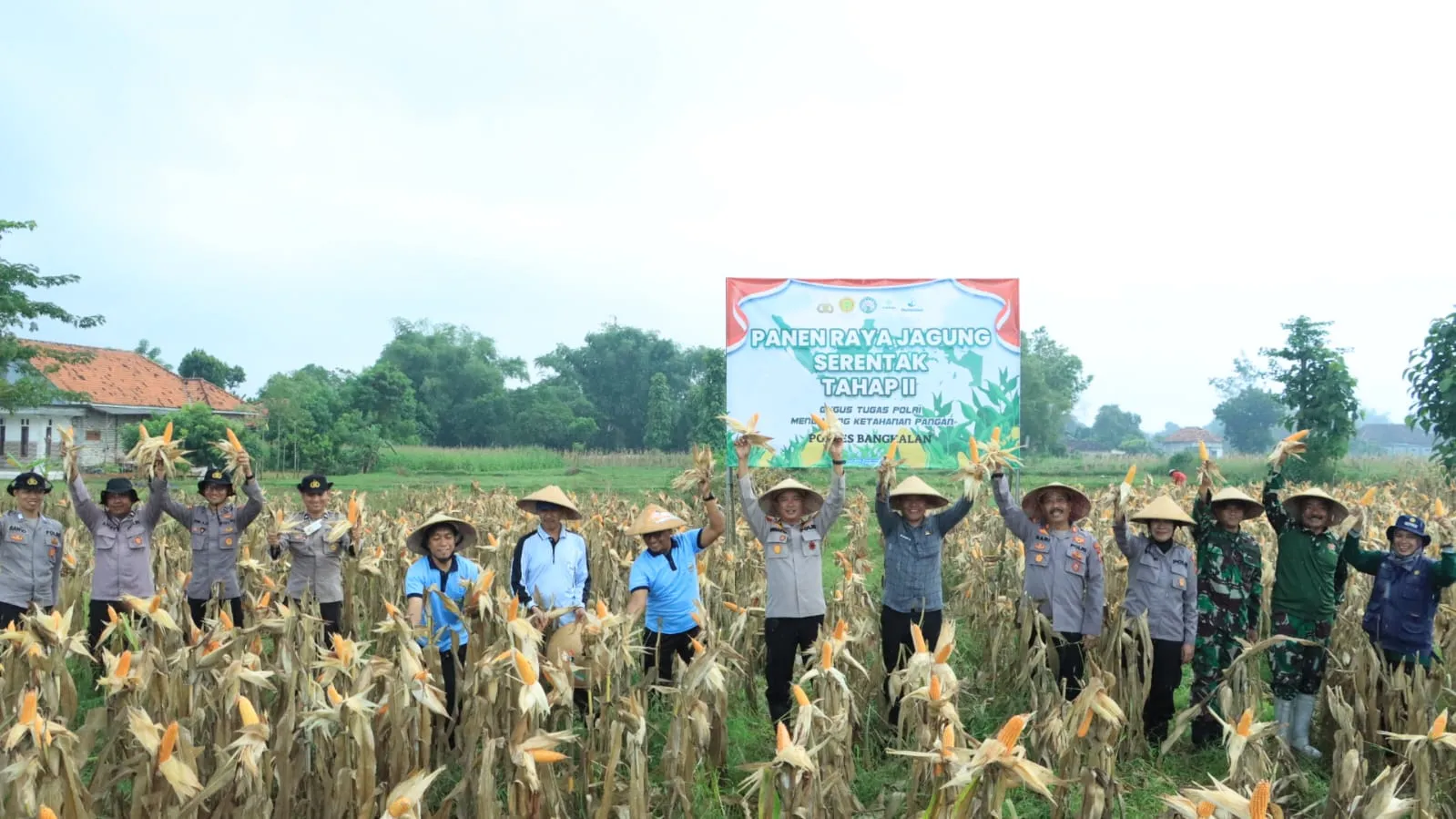 Dukung Ketahanan Pangan, Polres Bangkalan Bersama 3 Pilar Panen Jagung Tahap Kedua