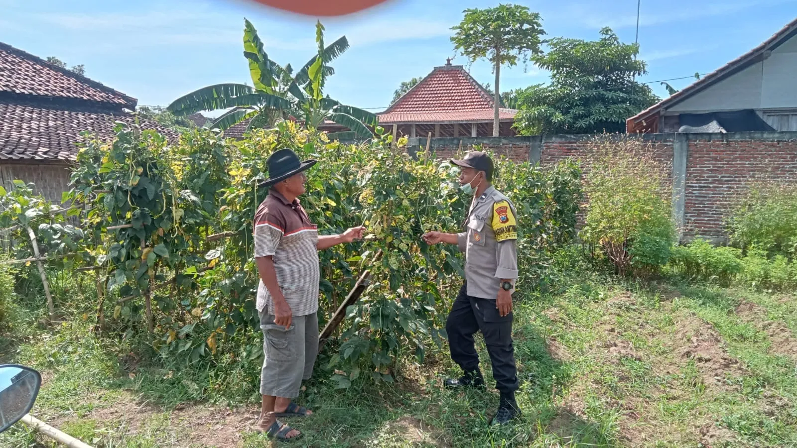 Optimalisasi Lahan Kosong, Warga Sonopatik Dukung Ketahanan Pangan Lewat Budidaya Kacang Panjang dan Terong