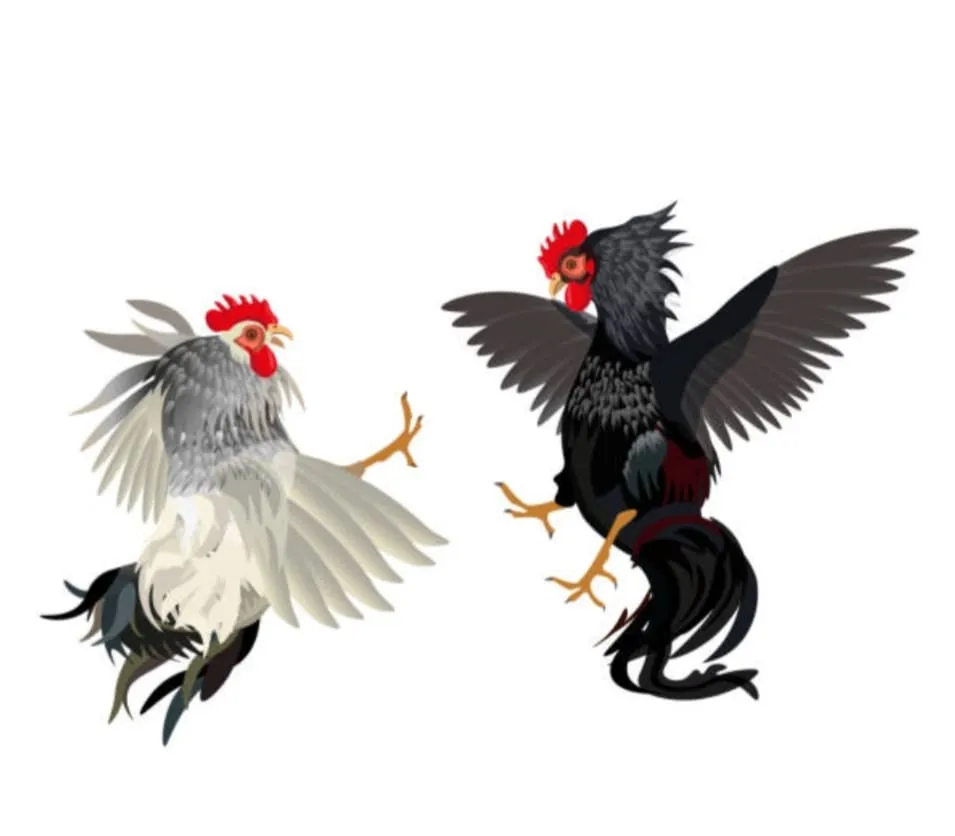 Mampukah Kapolres Lumajang Tutup Perjudian Sabung Ayam dan Dadu di Desa Selok Pasirian
