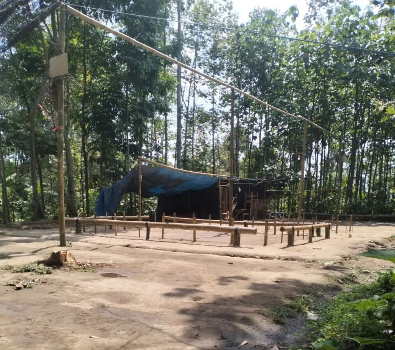 Sabung Ayam di Desa Belung, Poncokusumo Malang di Bongkar Rata Dengan Tanah