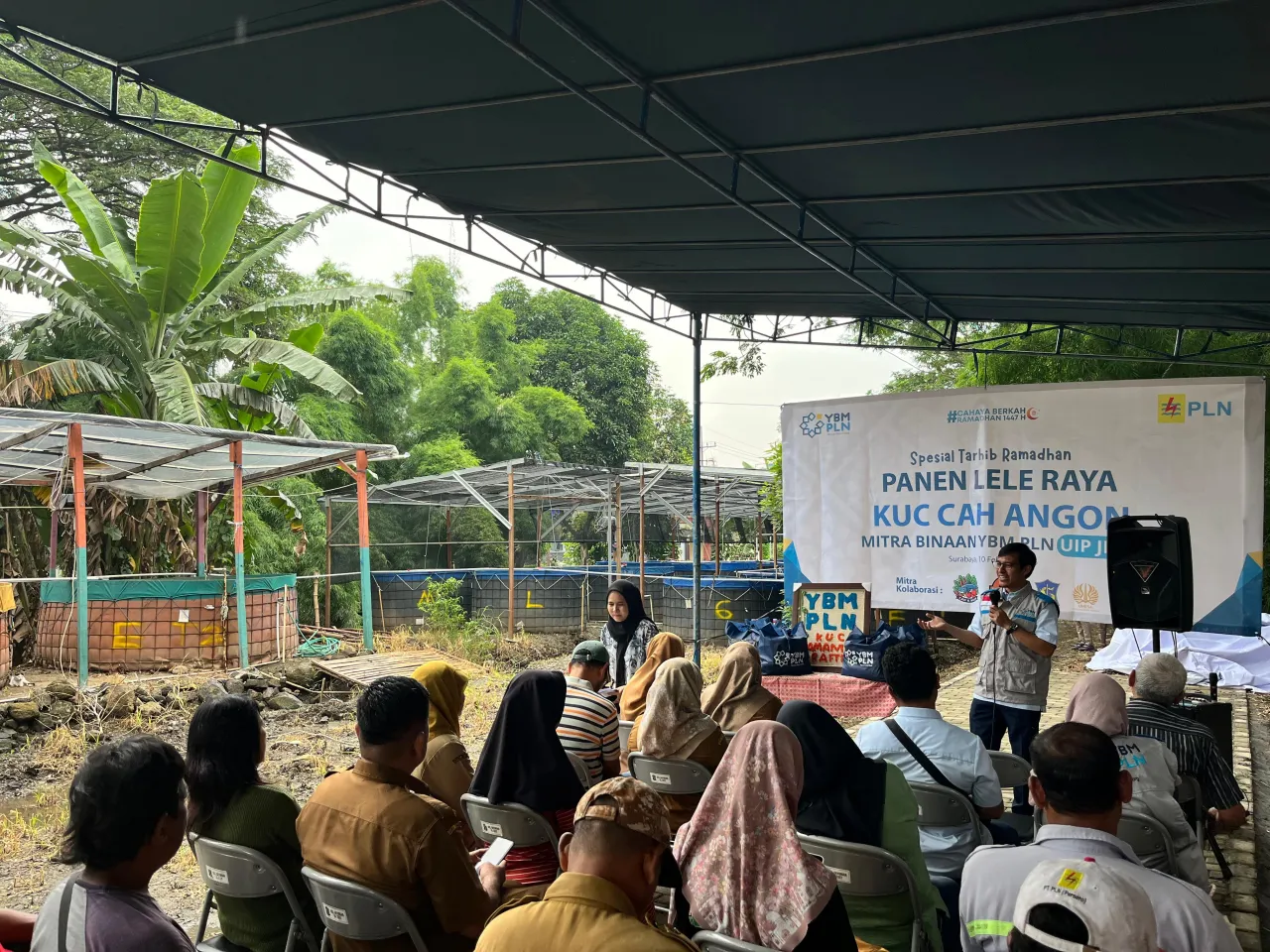 Panen Lele Raya di Gayungan, YBM PLN UIP JBTB Teguhkan Pemberdayaan Ekonomi Berkelanjutan