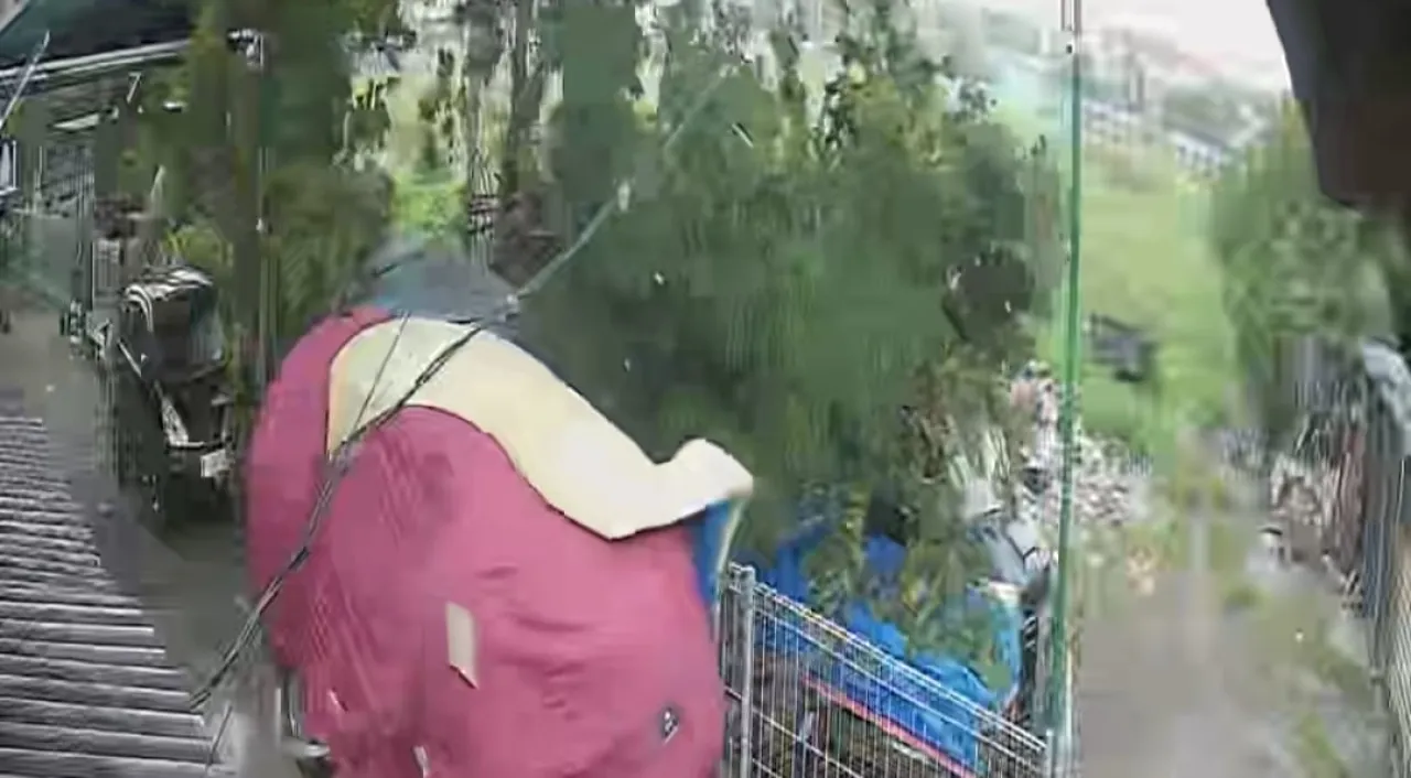 Angin Kencang Tumbangkan Pohon, Pick Up Tertimpa di Wonocolo Taman Sidoarjo