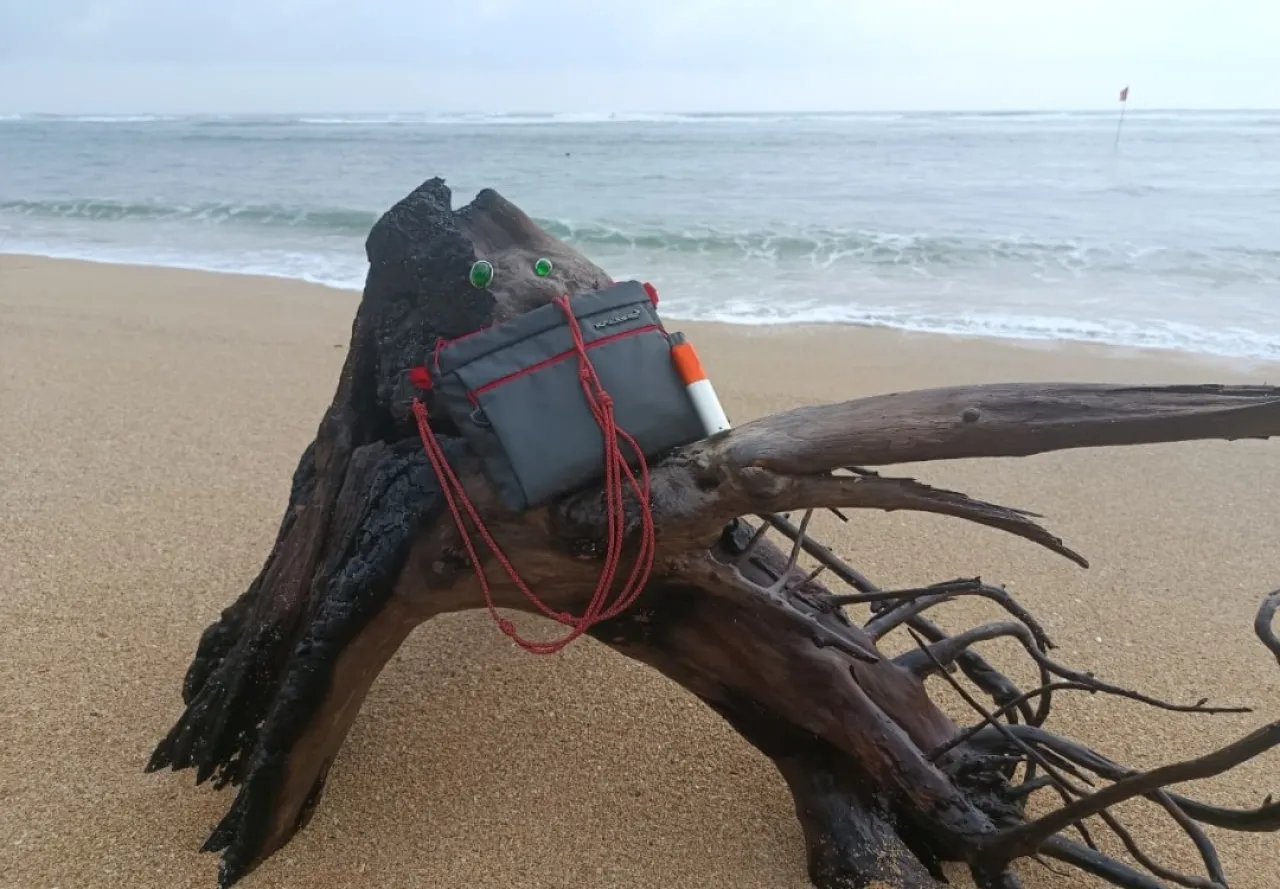 Seorang telah Menemukan  Kayu di Pinggir Pantai Ternyata Jenis Langka “Bogwood Petir” Bernilai Tinggi